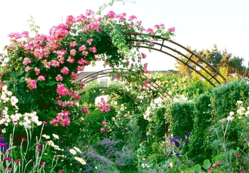 Designers Say This Vintage Garden Trend Is Making a Comeback