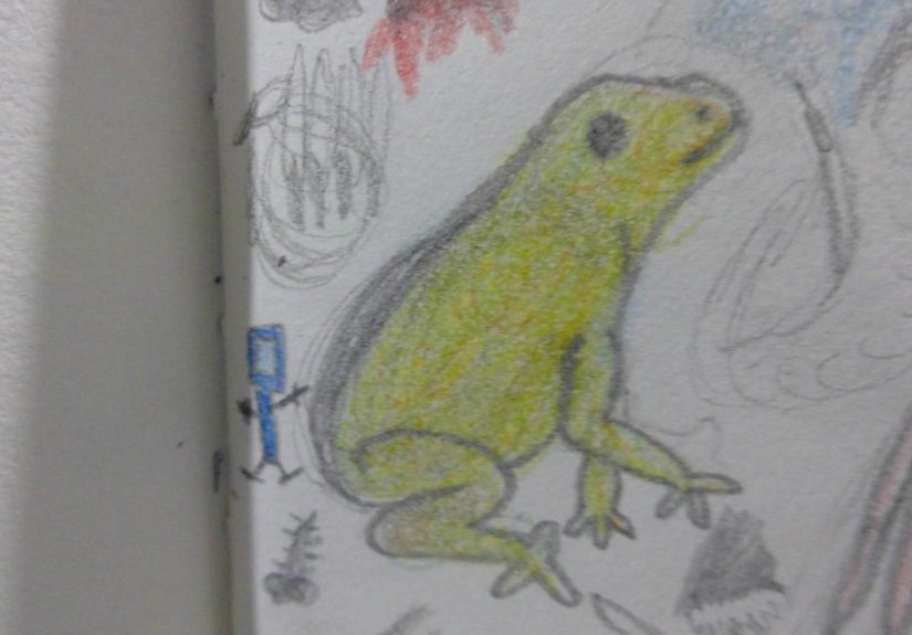 Hey Pandas, Draw A Frog