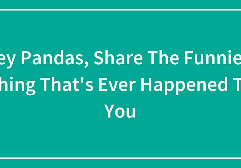 Hey Pandas, Share The Funniest Thing That’s Ever Happened To You