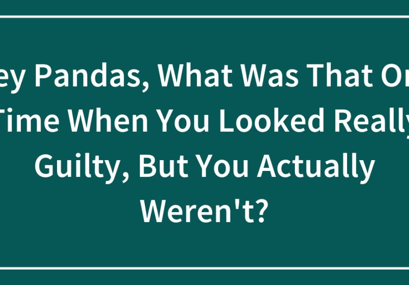 Hey Pandas, What Was That One Time When You Looked Really Guilty, But You Actually Weren’t?