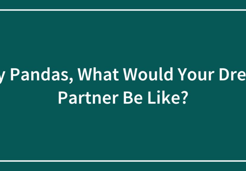 Hey Pandas, What Would Your Dream Partner Be Like? (Closed)