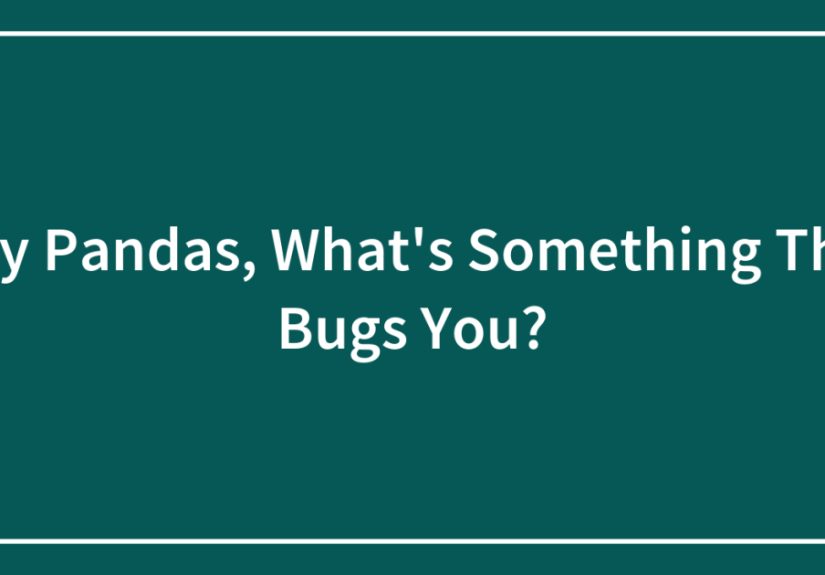 Hey Pandas, What's Something That Bugs You?