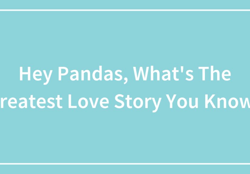 Hey Pandas, What’s The Greatest Love Story You Know?