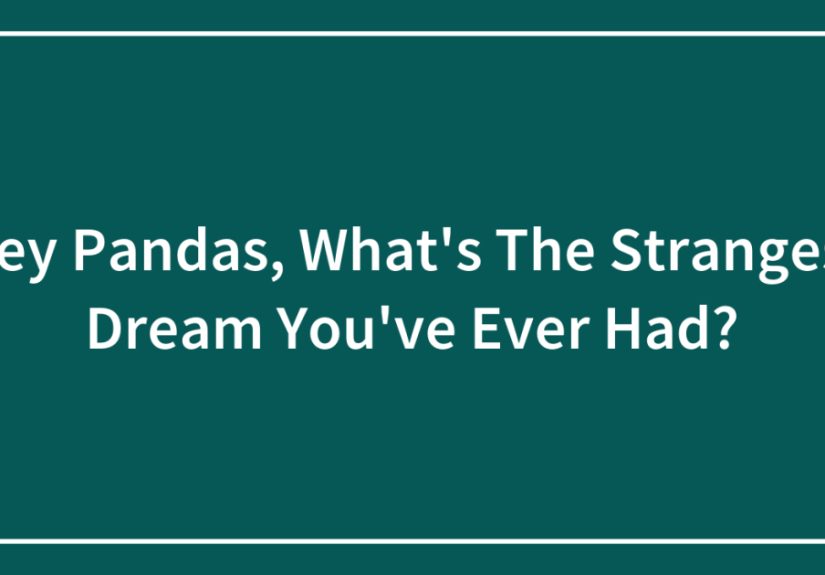 Hey Pandas, What’s The Strangest Dream You’ve Ever Had?
