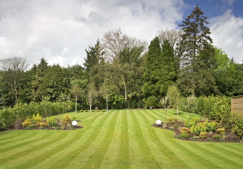 How to Mow Stripes into Your Lawn Like a Pro Groundskeeper