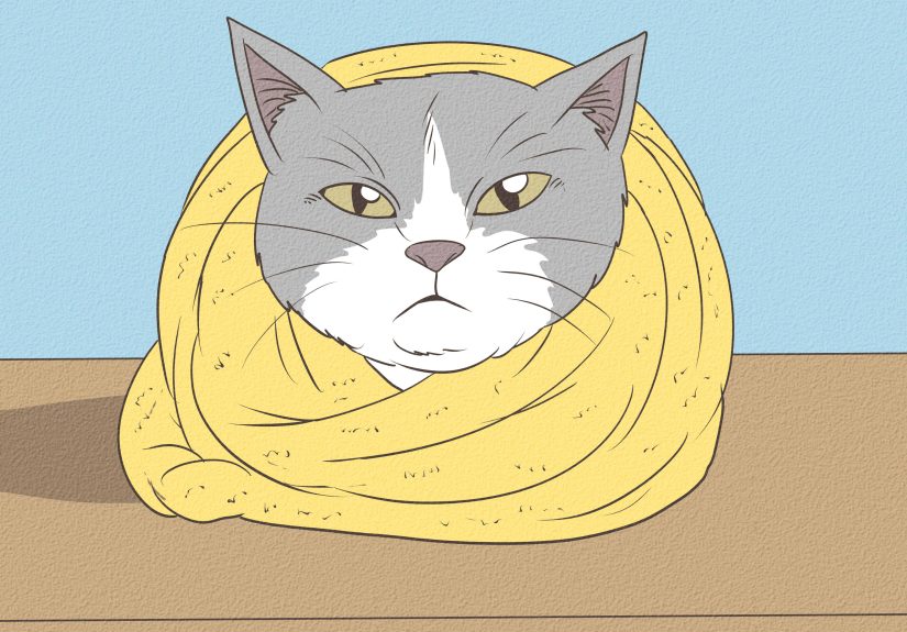 How to Wrap a Cat: 11 Steps