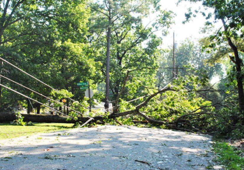 Hurricane Irene Damage