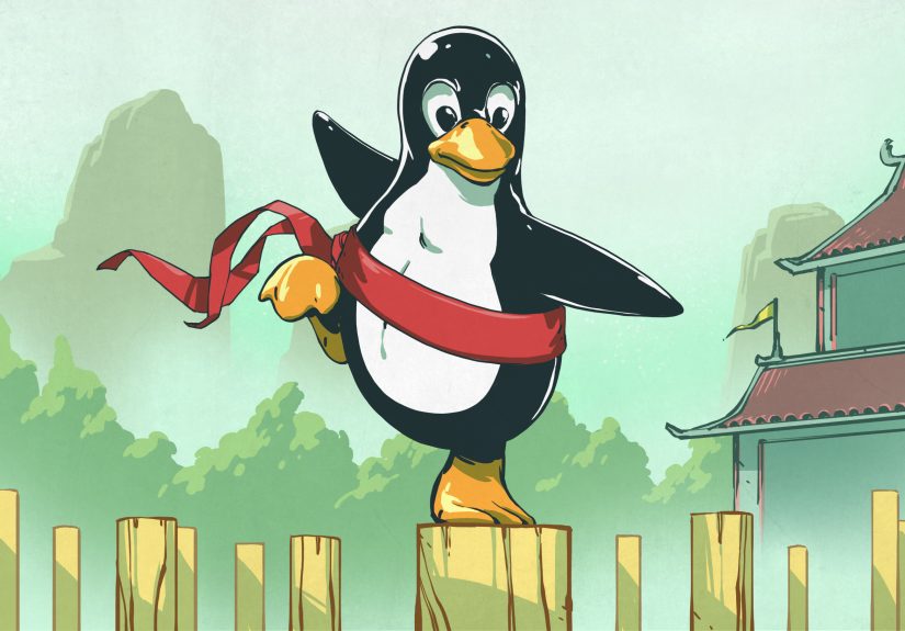 Linux Fu: Windows Virtualization The Hard(ware) Way