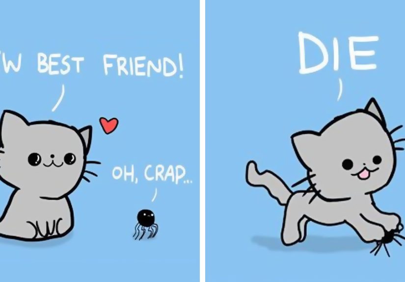 My 28 Funny, Cute, Sometimes Relatable, And Often Offensive Comics