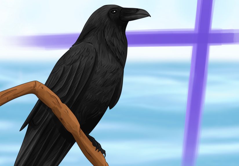 Raven Spiritual Meaning: 14 Symbolic Interpretations