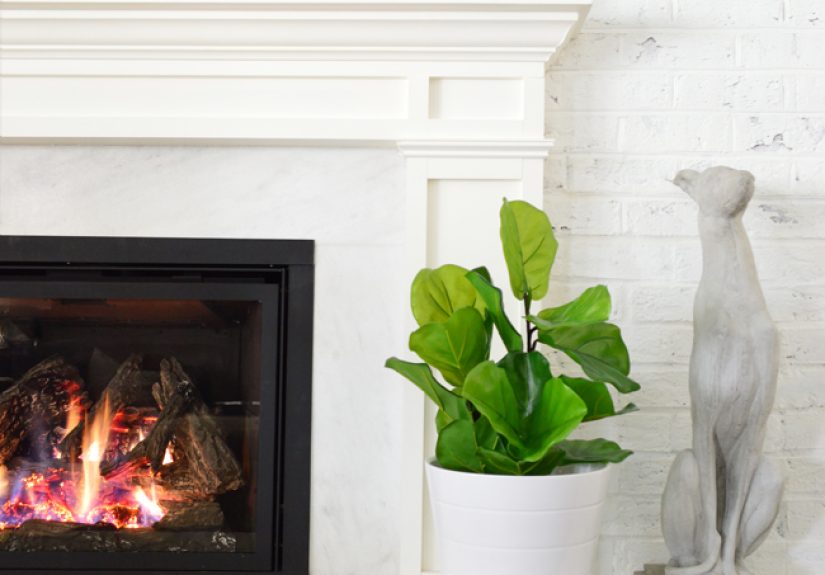 The Best Faux Fiddle Leaf Fig I've Ever Seen