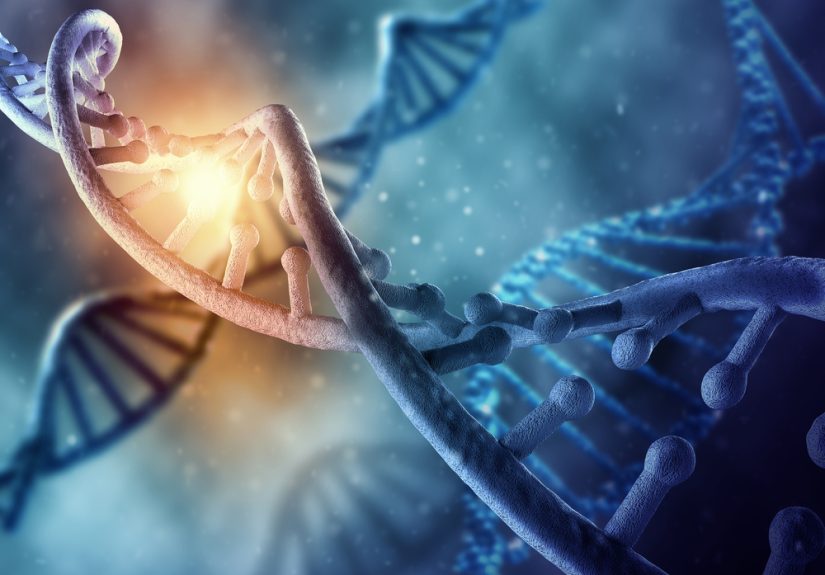 Think of the Person Behind the Cells: The Motivations of Biomedical Research