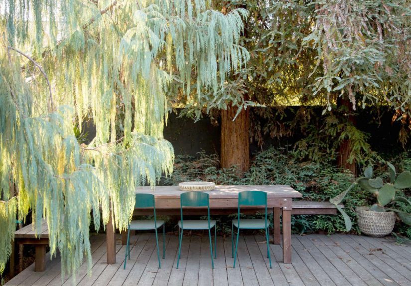 Trending on Gardenista: The Garden Apartment