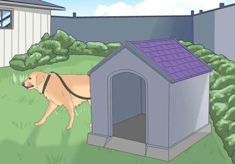 Why Does My Dog Sleep Under My Bed? 6 Potential Reasons