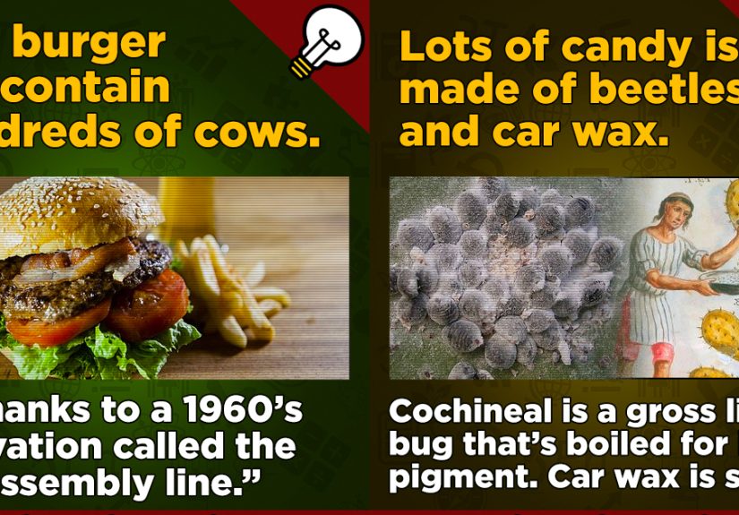 17 Now-You-Know Food Facts To Chew On Today
