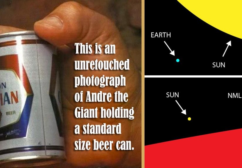 38 Real Size Comparisons That Will Make Your Head Explode