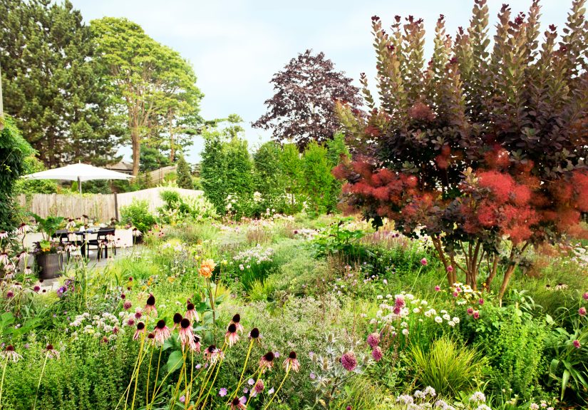 9 Garden Design Tips for a Yard with Year-Round Interest