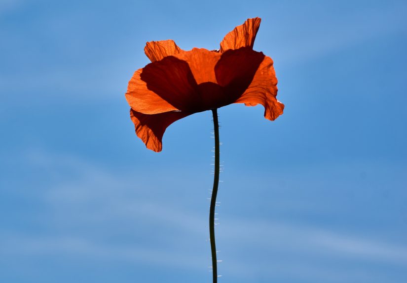 A physician's reflection: Is it time to pass the torch?