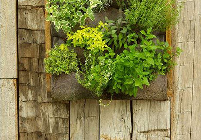 Accessories: Vertical Gardens at Terrain