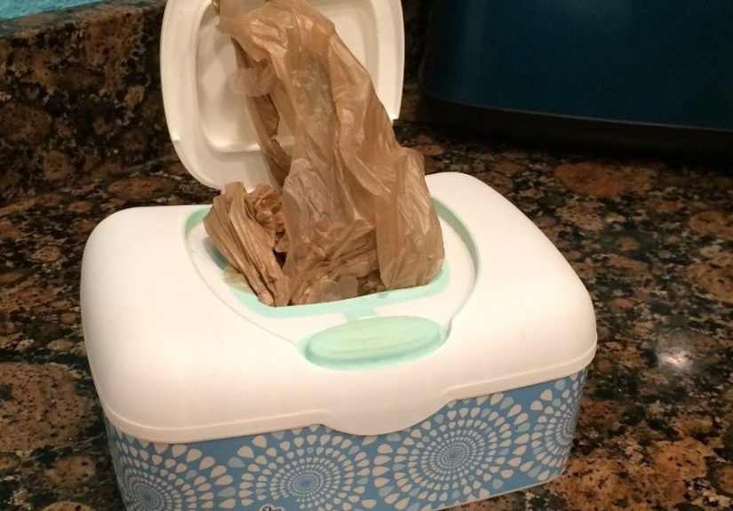 Attractive Dispenser for Plastic Bags