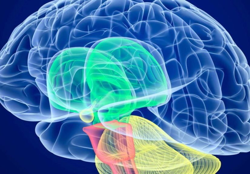 Cerebral palsy: Symptoms, causes, and treatments