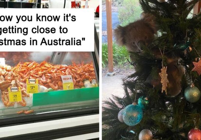 For Anyone Wondering What Christmas In Australia Is Really Like, These 30 Tweets Should Give You An Idea