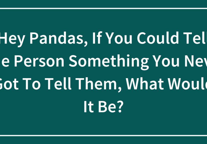 Hey Pandas, If You Could Tell One Person Something You Never Got To Tell Them, What Would It Be?