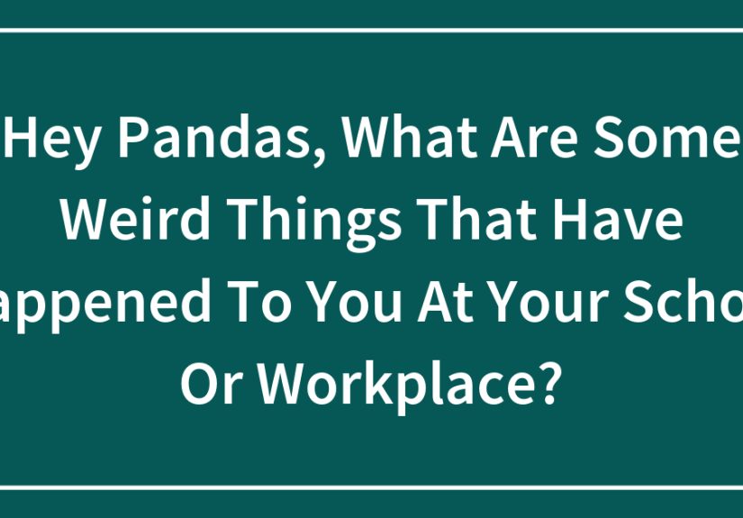 Hey Pandas, What Are Some Weird Things That Have Happened To You At Your School Or Workplace?