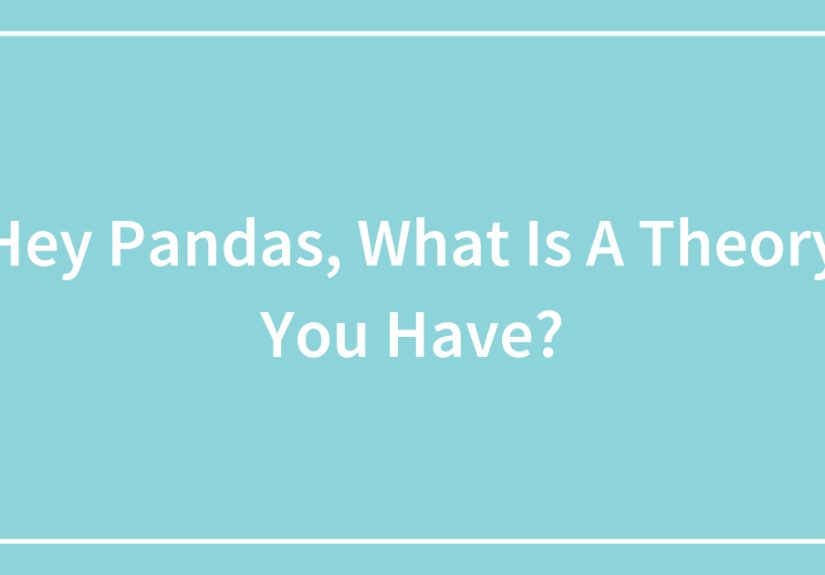 Hey Pandas, What Is A Theory You Have?