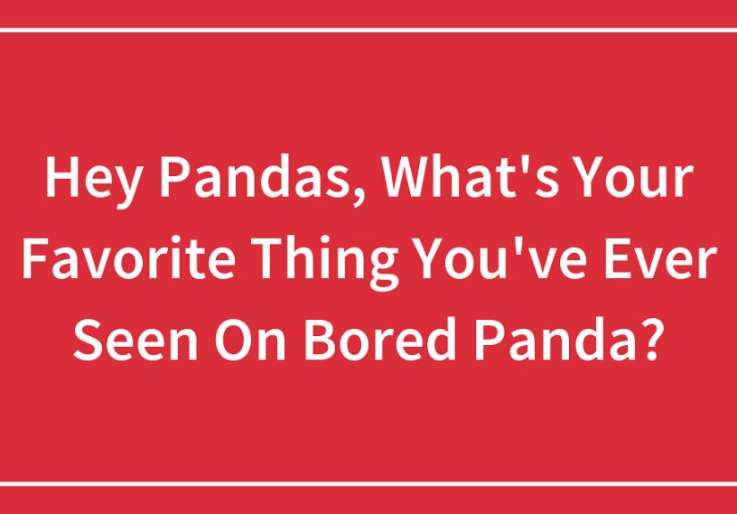 Hey Pandas, What’s Your Favorite Thing You’ve Ever Seen On ?