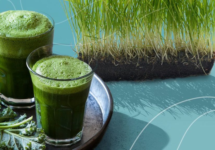 How Long Do You Need to Drink Wheatgrass For?