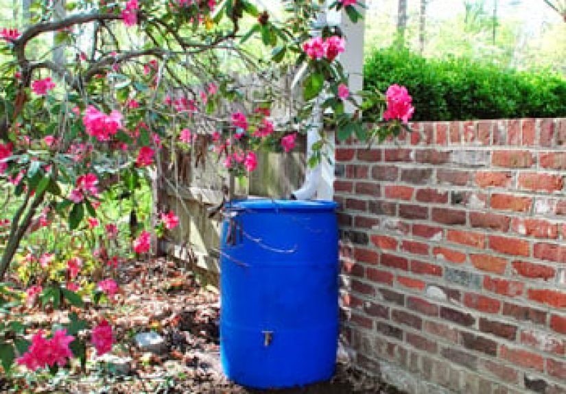 How To Add A Rain Barrel