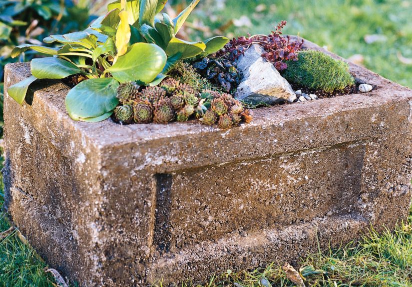 How To Make a Hypertufa Garden Trough