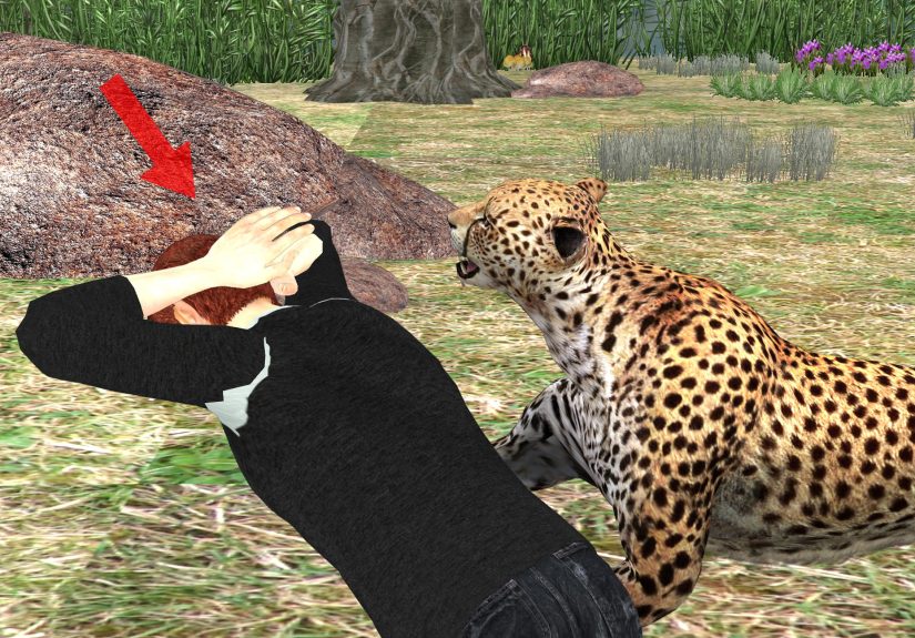 How to Survive a Jaguar Attack: 7 Steps