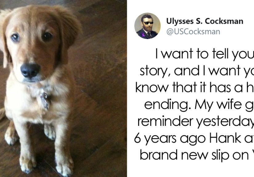 Man Shares A Heartwarming Story About How His Dog Saved His House From Burning Down