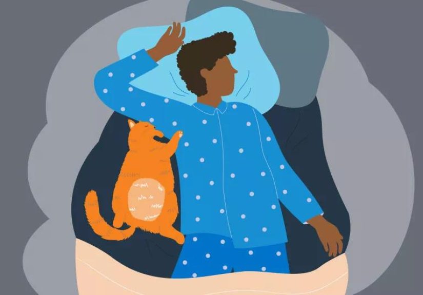 Sleep Debt: Can You Make Up for Lost Sleep?