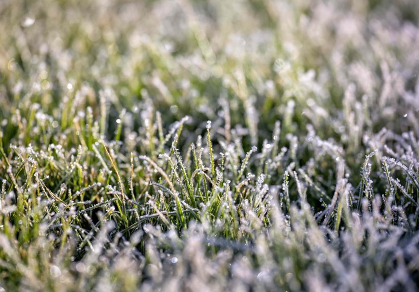 Smart Homeowners Do These 6 Lawn Chores Before Cold Weather Sets In
