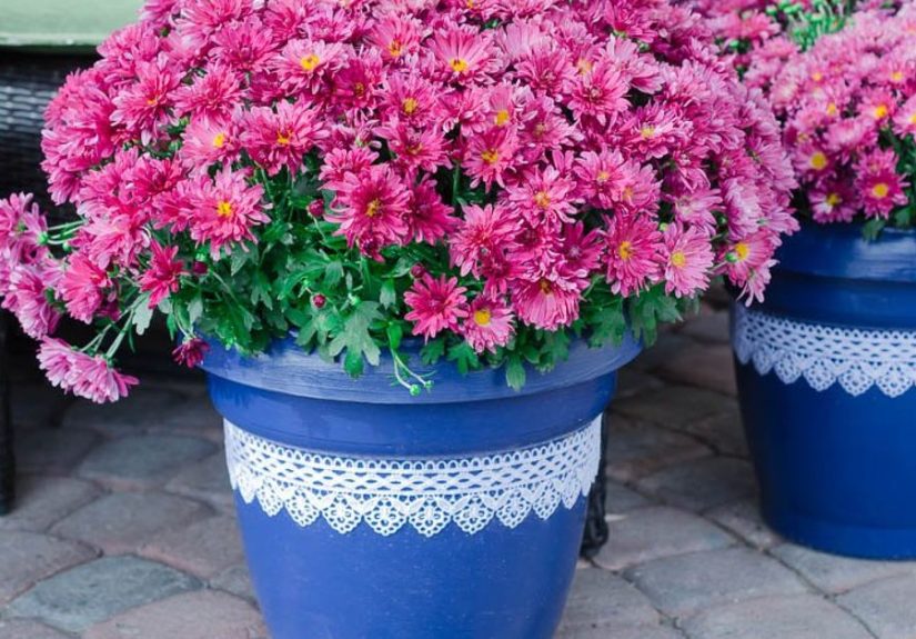 The High-End Makeover for Plain Plastic Plant Pots