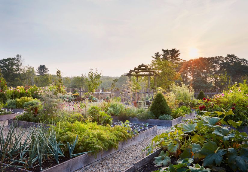 What to Plant, Prune, and Plan in Your September Garden