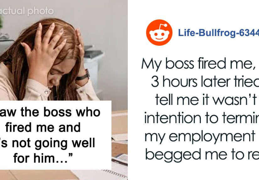 Woman Gets Fired For Something She Didn’t Do, Gets Her Satisfying Revenge Years Later