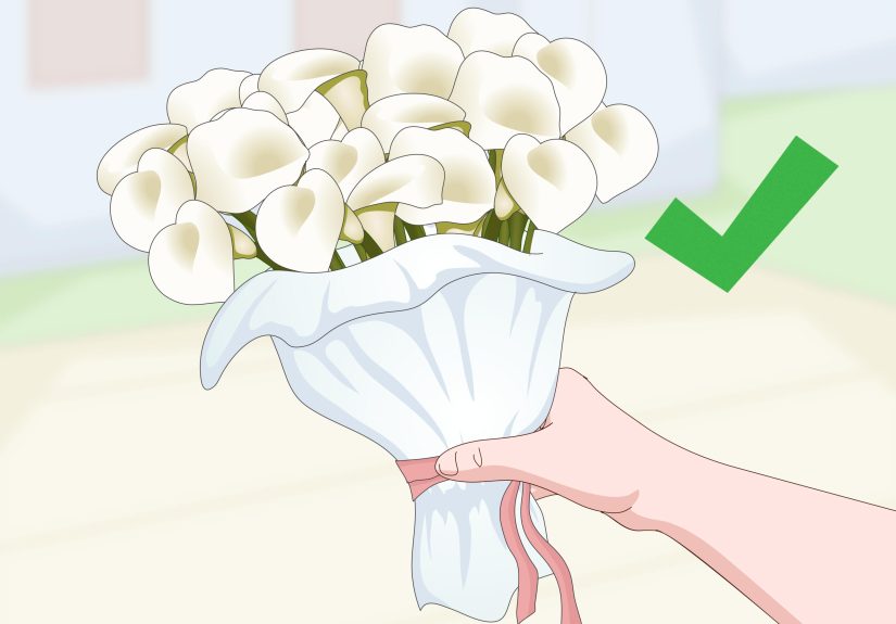 3 Ways to Keep Cut Calla Lilies Fresh