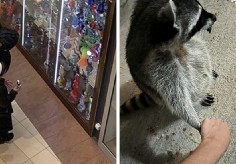 30 People Who Took The Funniest Pics And Finally Had A Chance To Show Them To The World