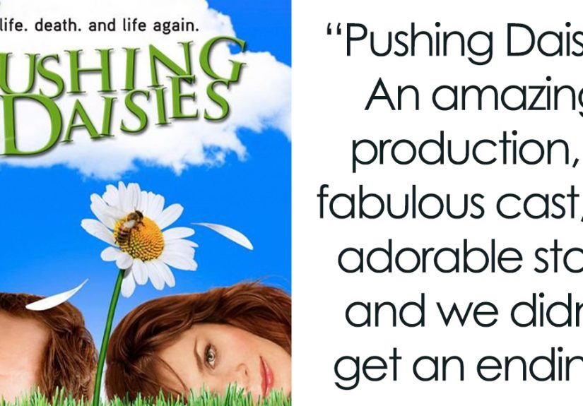 30 TV Series That Were Canceled Too Soon Without Giving Closure To Their Fans