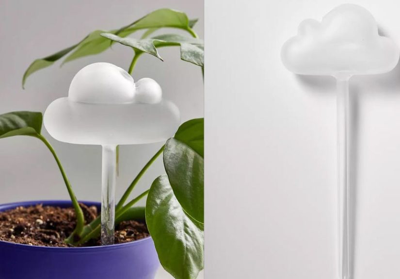 40 Best Gifts for Plant Lovers - Unique Plant and Gardening Gifts