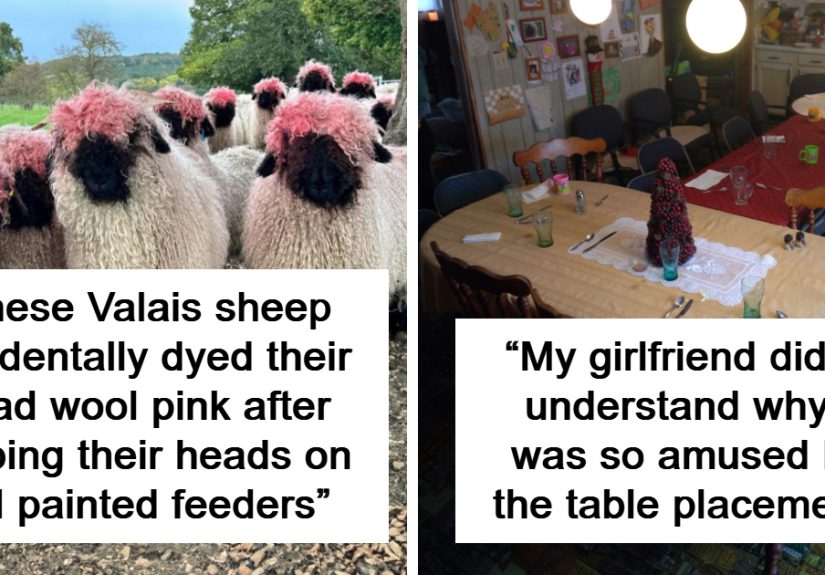 50 Hilarious “Accidental Comedy” Photos That Prove Humor Finds You When You Least Expect It