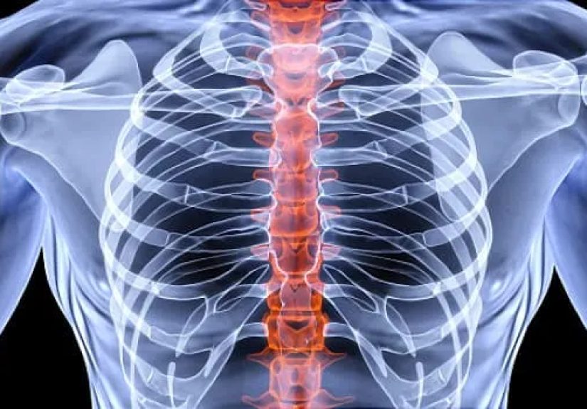 Bone Density Summary