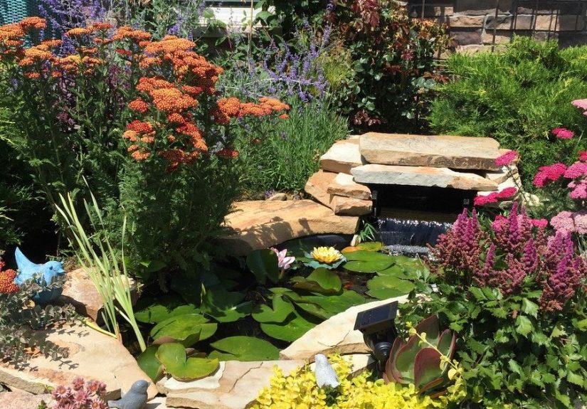 Build Your Dream Pond Paradise Using A 55 Gallon Pond Liner