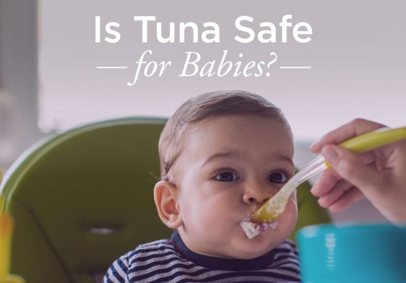 Can Babies Eat Tuna: Risks and Benefits