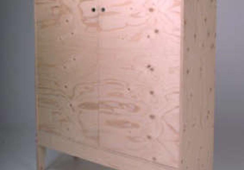 Crisis 2 Doors Child's Cupboard