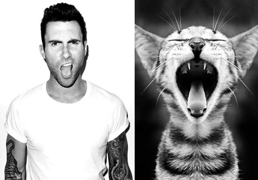 Girls’ Favorite Things Brought Together: Hot Guys and Kittens (PART II)
